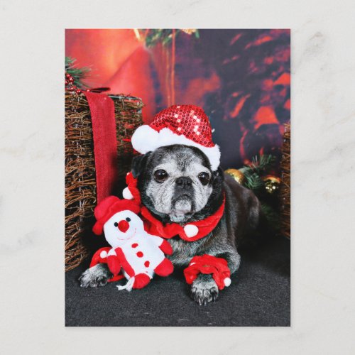 Christmas _ Angel _ Pug Holiday Postcard