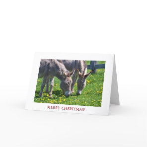 Christmas Animal Donkey Holiday Card