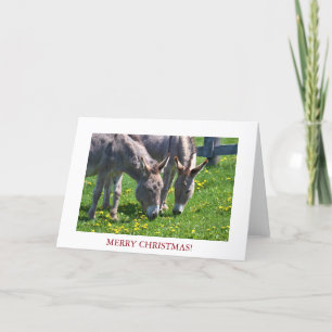 Christmas Animal Donkey Holiday Card