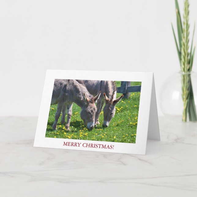 Christmas Animal Donkey Holiday Card (Front)