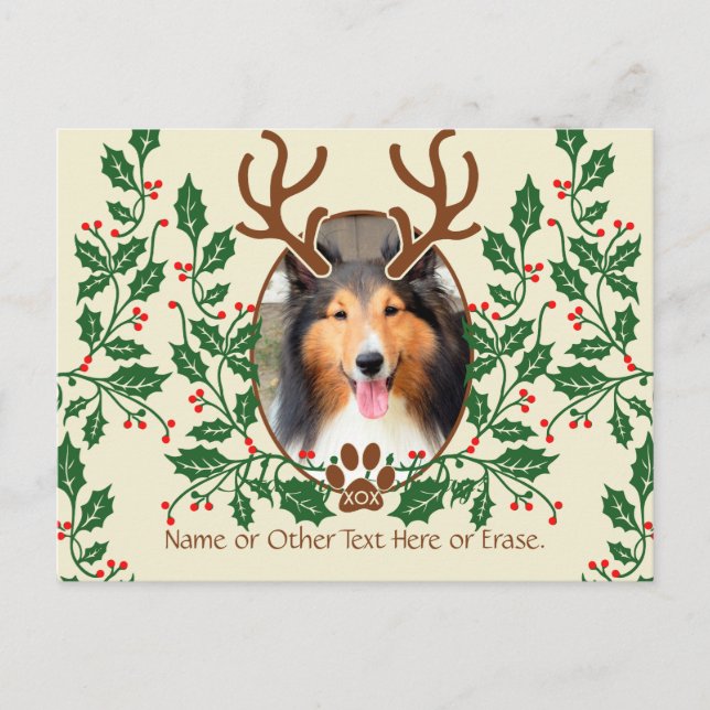 Christmas Antlers For Dog / Cat Personalize Photo Holiday Postcard (Front)