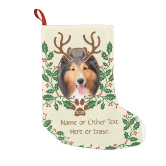 Christmas Antlers For Dog / Cat Personalize Photo