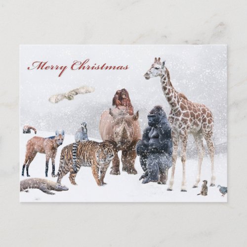 Christmas at the Zoo Holiday Postcard