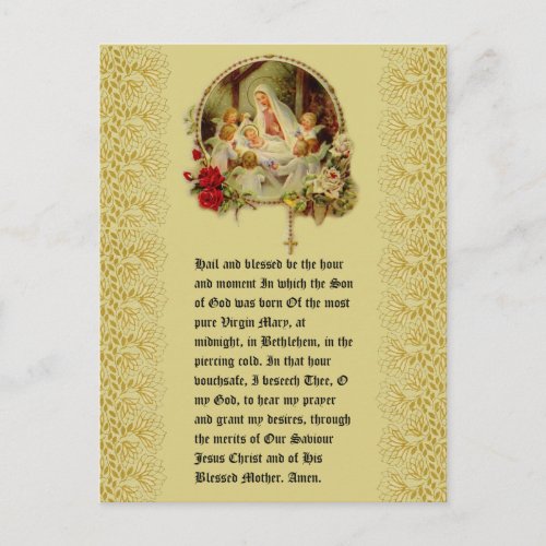 Christmas Baby Jesus in Manger Floral Pointsettia Postcard