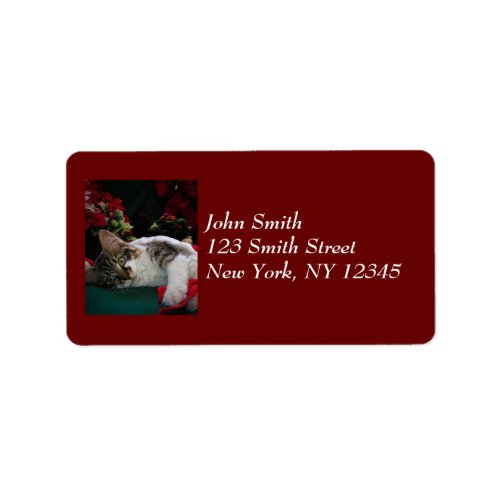 Christmas Baby Kitty Cat Large Eyed Kitten Alone Label