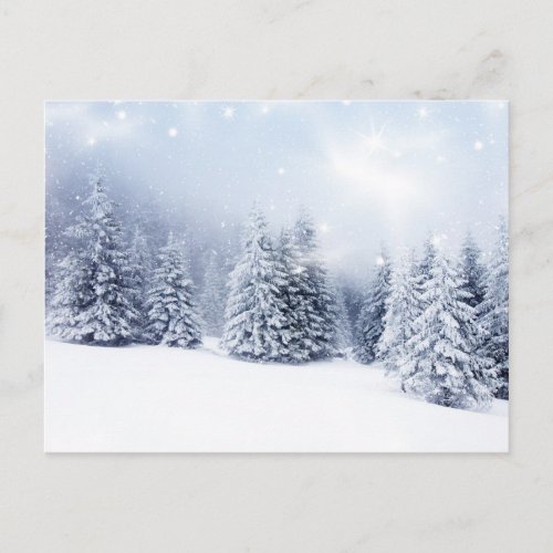 Christmas Background With Snowy Fir Trees 2 Holiday Postcard