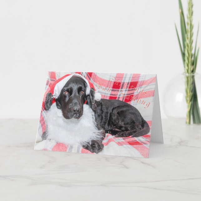 Christmas Bah Humbug Card (Front)