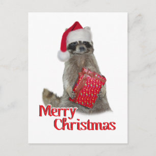 Christmas Bandit Raccoon with Present Holiday Postcard