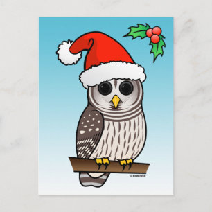 Christmas Barred Owl Santa Holiday Postcard