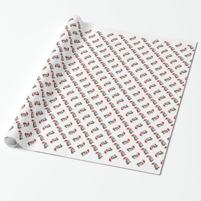 Christmas Barred Owl Santa Wrapping Paper (Unrolled)