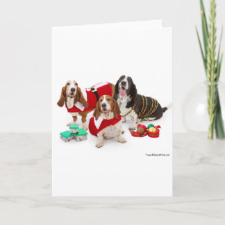 christmas basset hound holiday card