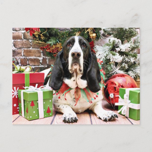 Christmas - Basset Hound - Jasmine Holiday Postcard (Front)