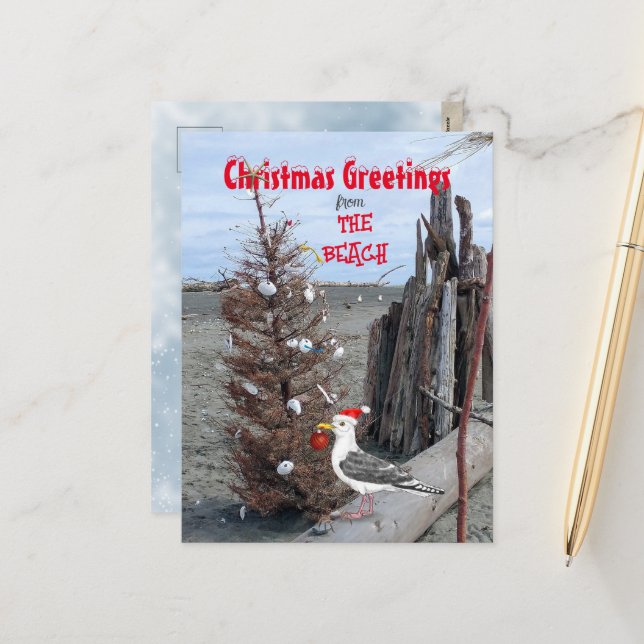 Christmas Beach Scene Photo Seagull Driftwood Fun Holiday Postcard (Front/Back In Situ)