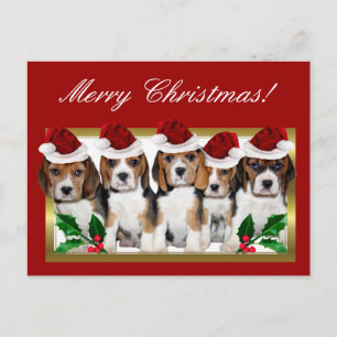 Christmas Beagle Poppies postcard