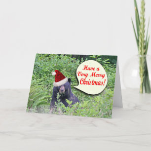 Christmas Bear Holiday Card