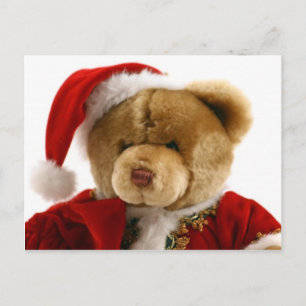 christmas bear holiday postcard
