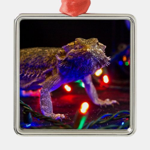 Christmas Beardie Metal Ornament