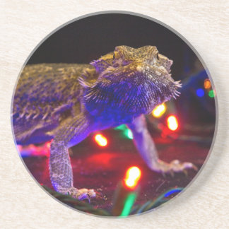 Christmas Beardie Sandstone Coaster