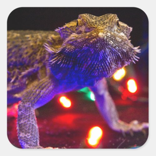 Christmas Beardie Square Sticker