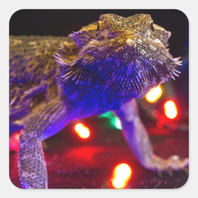 Christmas Beardie Square Sticker (Front)
