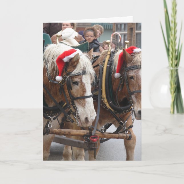 Christmas Belgians Holiday Card (Front)