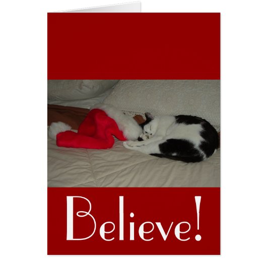 Christmas Believe Kitty Cat Cards (Front)