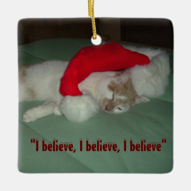 Christmas Believe Tabby Cat Ceramic Ornament (Front)