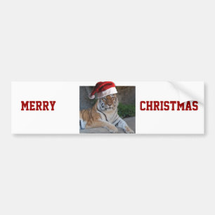 Christmas Bengal Tiger Bumper Sticker
