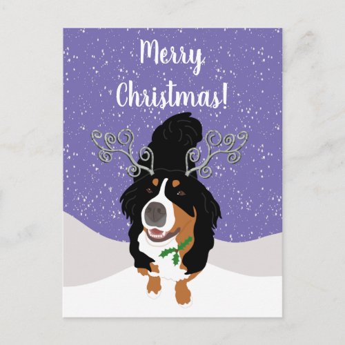 Christmas Bernese mountain Dog Gift Card