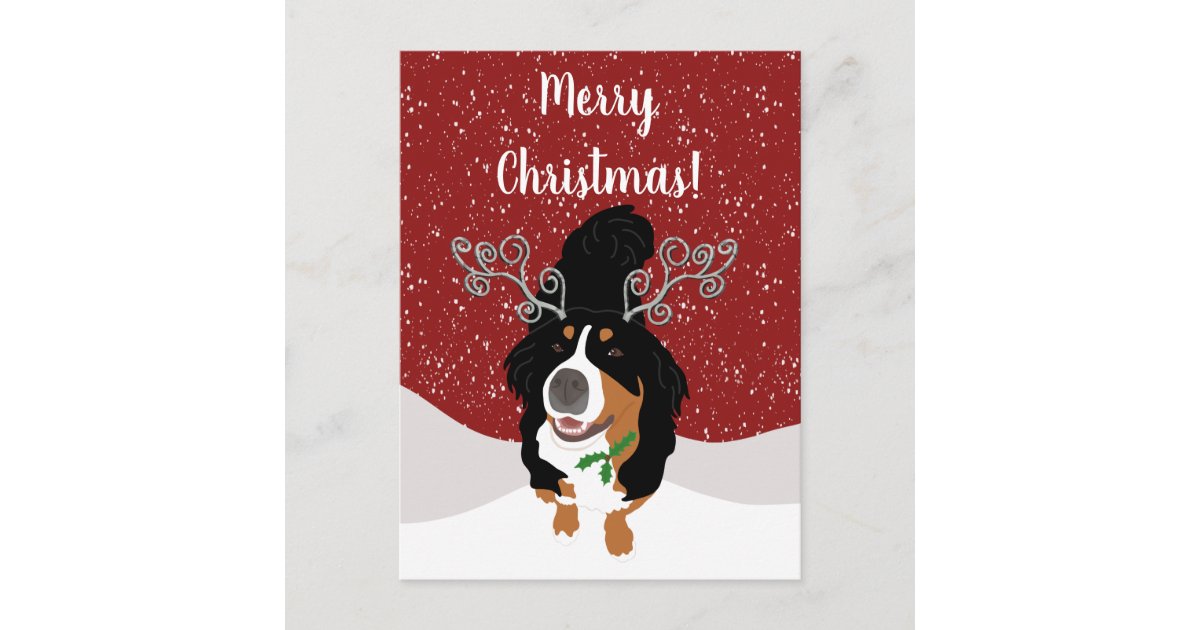 https://rlv.zcache.com/christmas_bernese_mountain_dog_gift_card-r71c51be0e45349d4a086cfed8996eead_ucbjp_630.jpg?view_padding=%5B285%2C0%2C285%2C0%5D