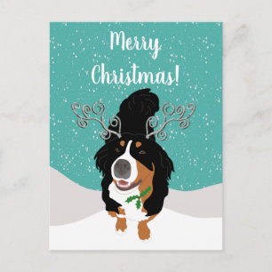 Christmas Bernese mountain Dog Gift Card