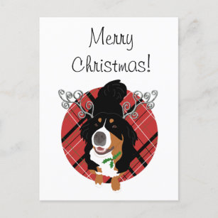 Adorable Assorted Pets Invitation Cards with Envelopes 10 Handmade Artwork Christmas Greeting Cards GCD685 Let It Snow Christmas Happy Holidays Bernese Mountain Dog Greeting Cards 