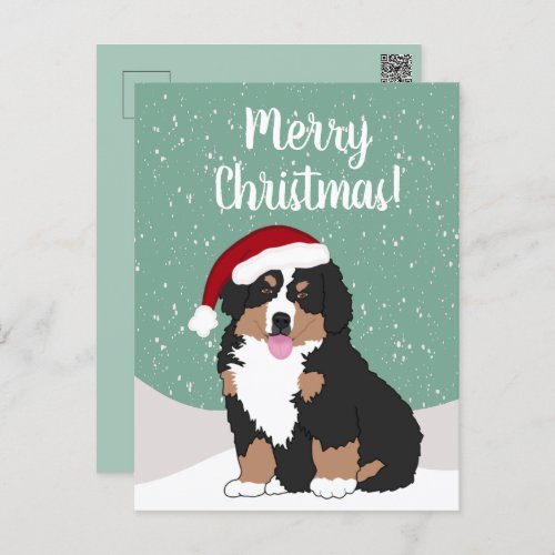 Christmas Bernese mountain Dog  Postcard