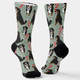 Christmas Bernese Mountain Dog Socks