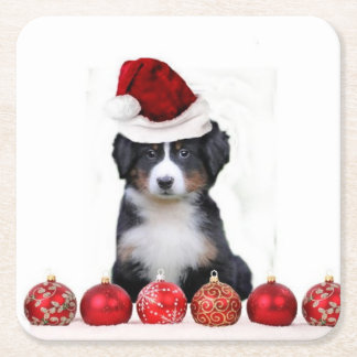 Christmas Bernese Mountain Dog Square Paper Coaster