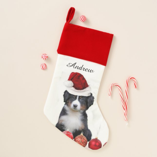 Christmas Bernese Mountain dog  stocking (Front)
