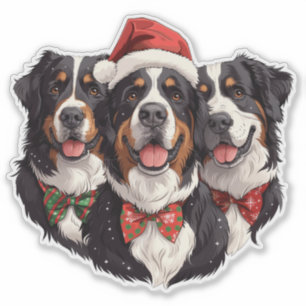 Christmas Bernese Mountain Dogs Sticker