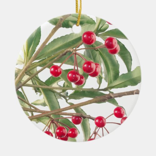 Christmas Berry Scarlet Ardisia Houseplant Vector Ceramic Ornament