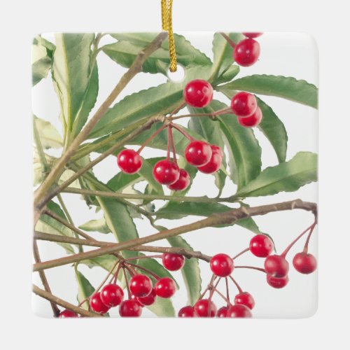 Christmas Berry Scarlet Ardisia Houseplant Vector Ceramic Ornament