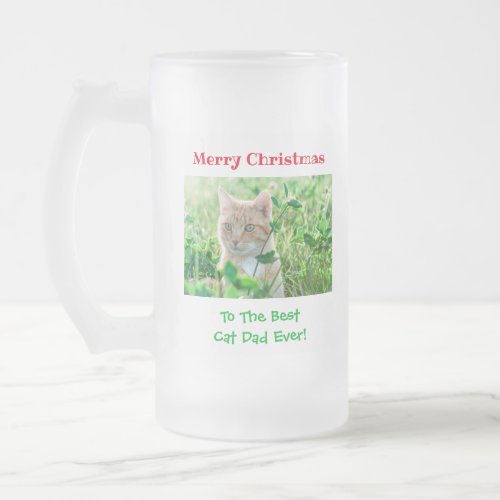 Christmas Best Cat Dad Ever Pet Photo Frosted Glass Beer Mug