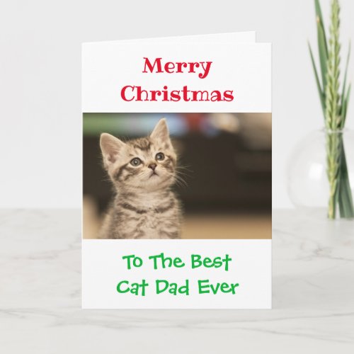 Christmas Best Cat Dad Ever Photo Card
