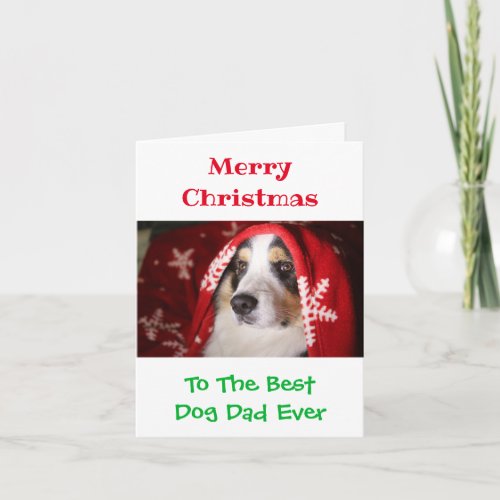 Christmas Best Dog Dad Ever Pet Photo Card