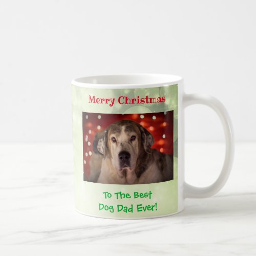 Christmas Best Dog Dad Ever Pet Photo Coffee Mug