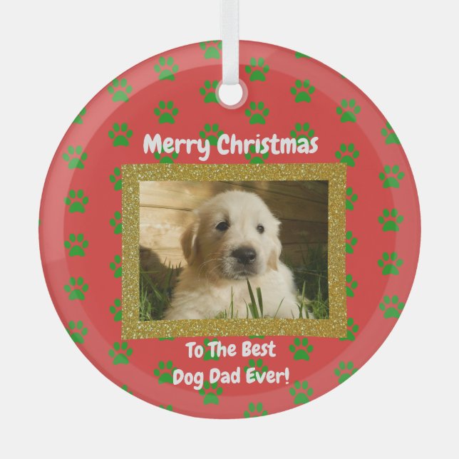Christmas Best Dog Dad Ever Pet Photo Glass Ornament (Front)