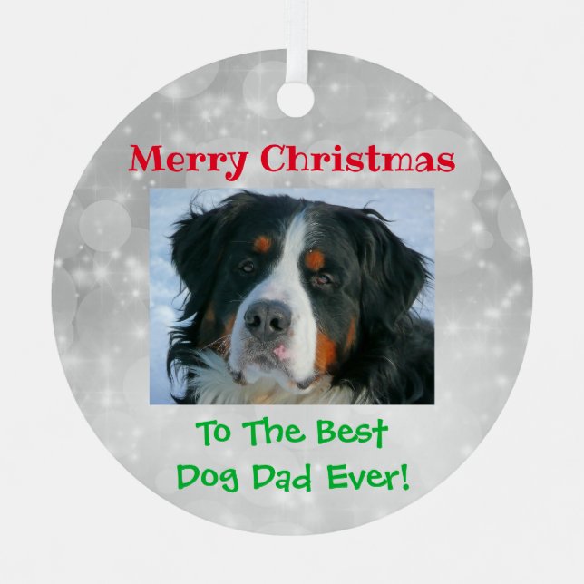 Christmas Best Dog Dad Ever Pet Photo Metal Ornament (Front)