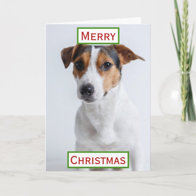 Christmas Best Dog Mom Ever Pet Photo Card (Front)