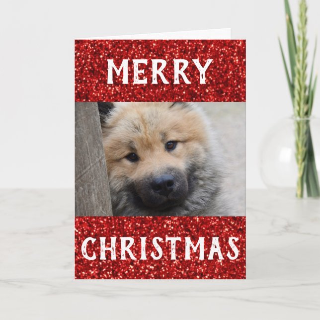 Christmas Best Dog Mom Ever Pet Photo Card (Front)
