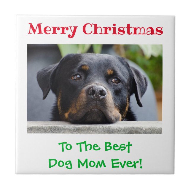 Christmas Best Dog Mom Ever Pet Photo Ceramic Tile (Front)