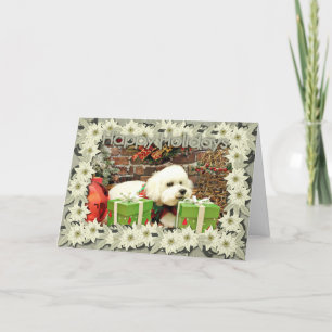Christmas - Bichon Frise - Cooper Holiday Card