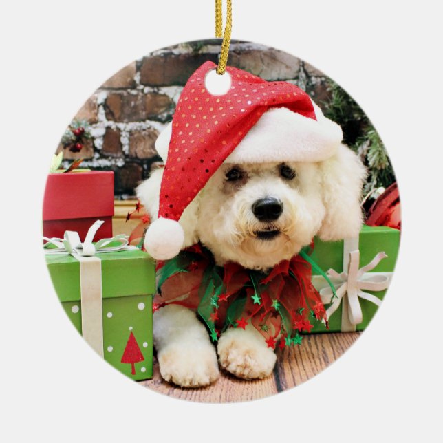 Christmas - Bichon Frise - Daisy Ceramic Ornament (Front)